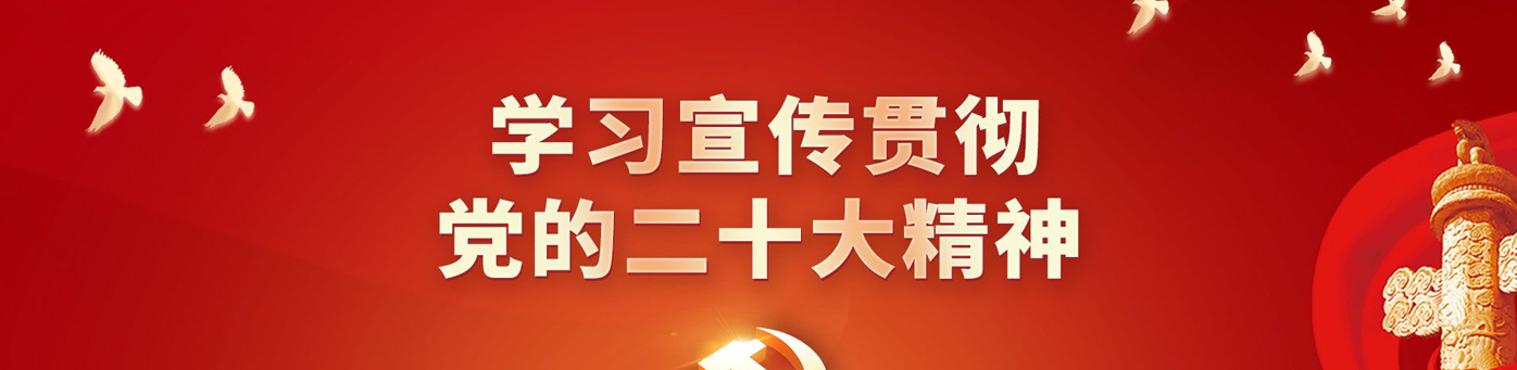 学习贯彻党的二十大精神